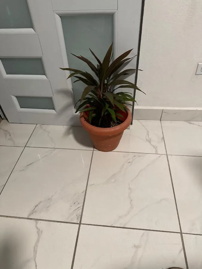 Second Floor 2Br Apt In The Center Of Santurce Daire San Juan